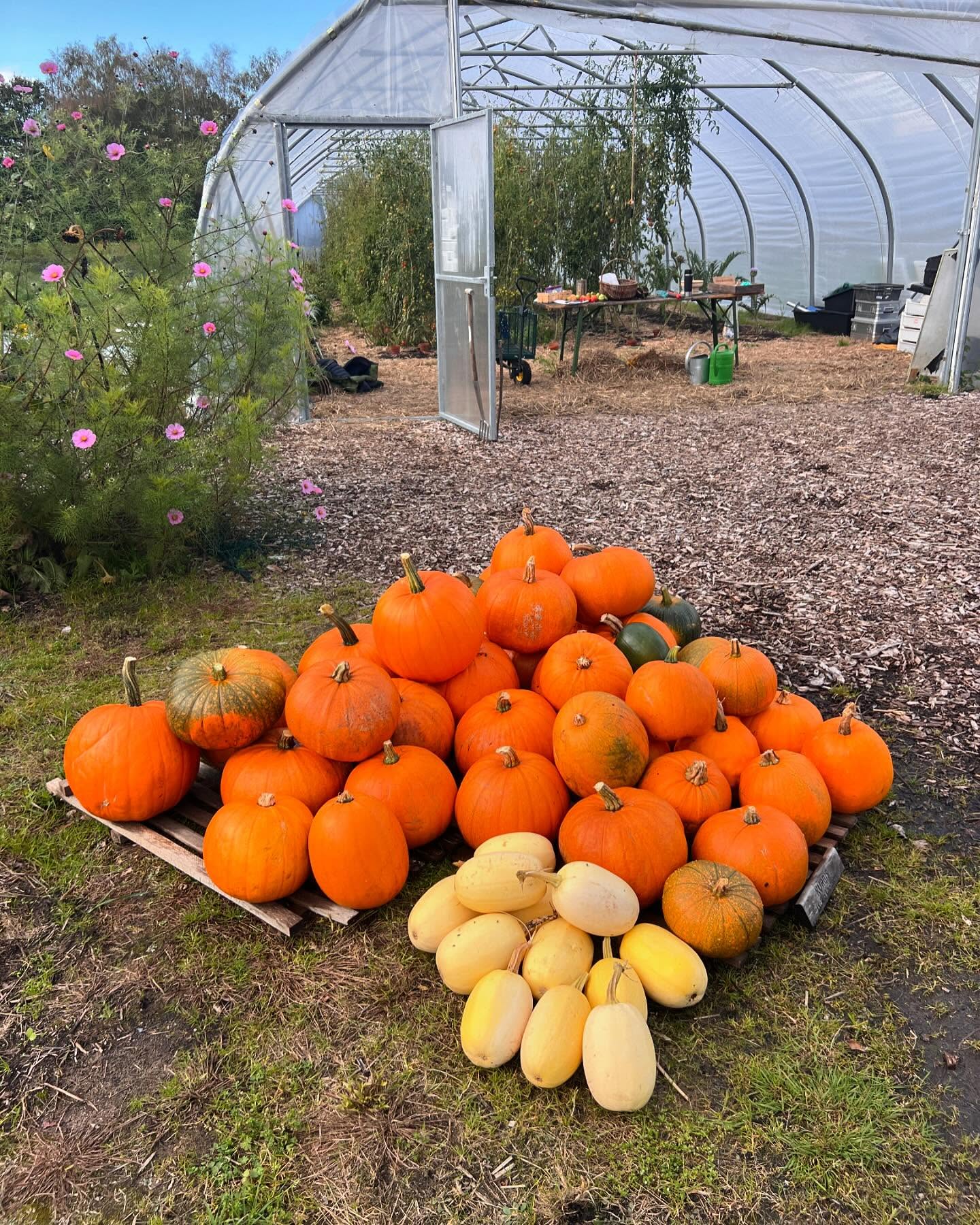 Freilandwerk – Galerie Bild 1