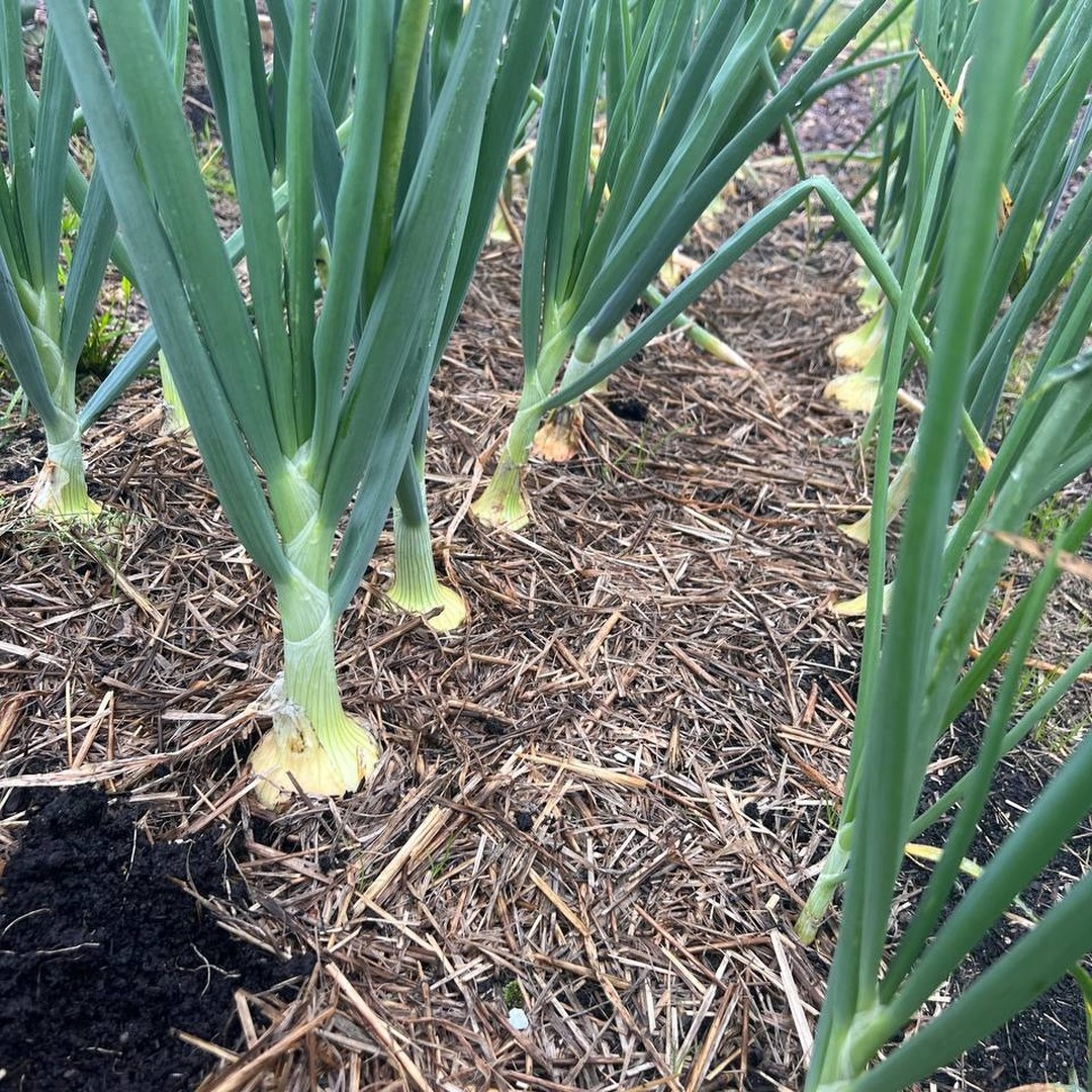 Freilandwerk – Galerie Bild 17