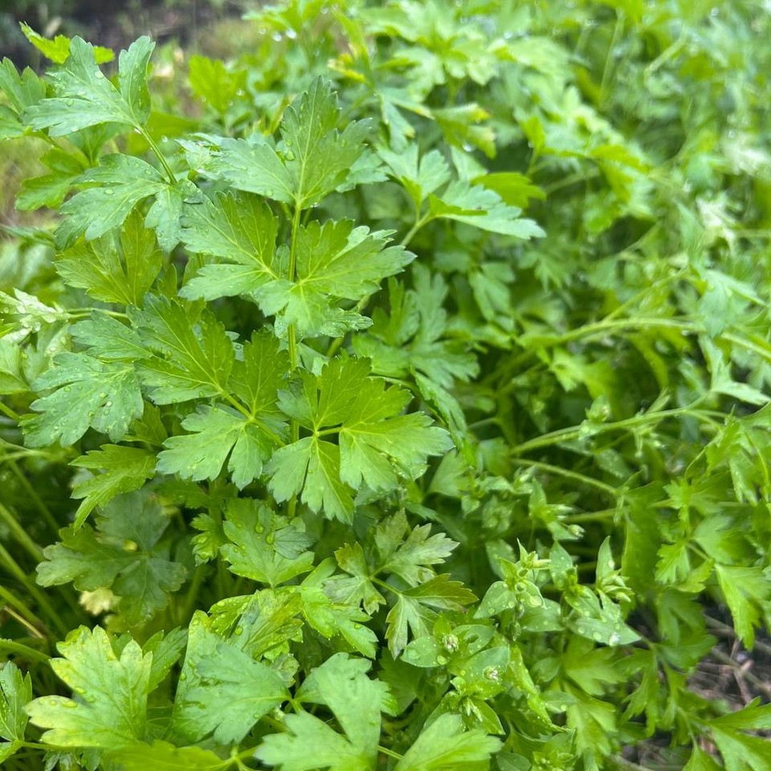 Freilandwerk – Galerie Bild 20