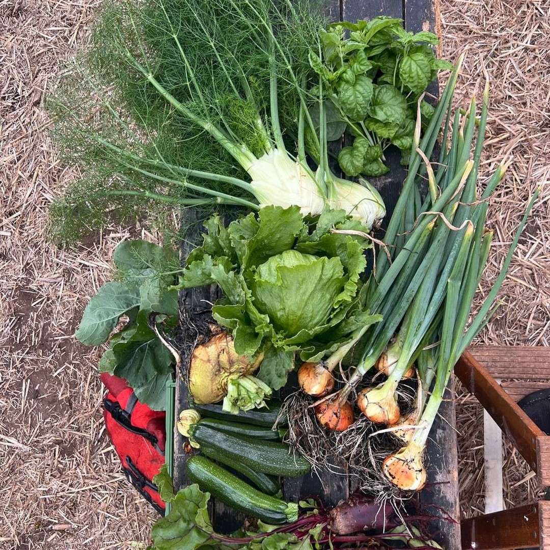 Freilandwerk – Galerie Bild 22