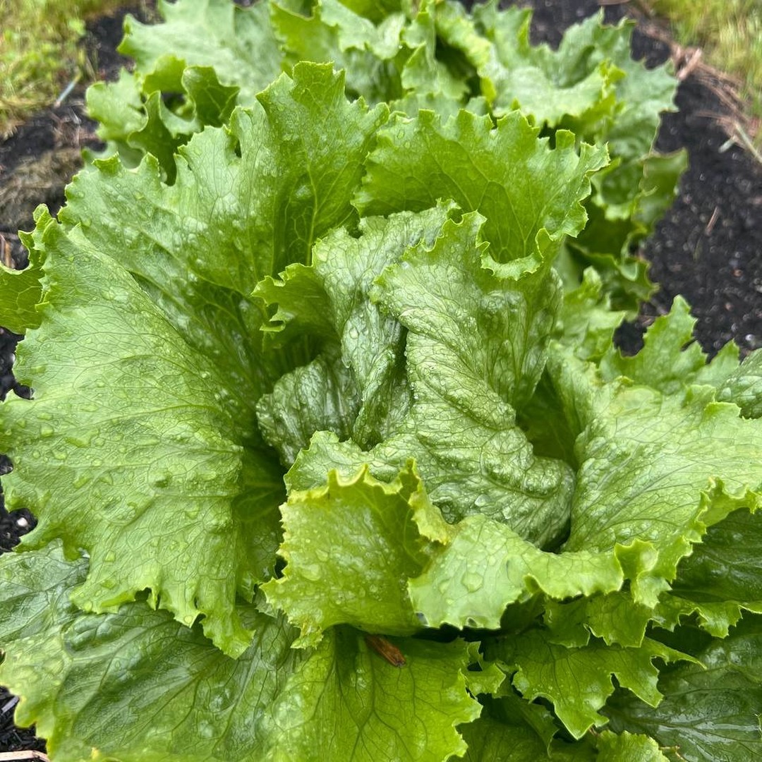 Freilandwerk – Galerie Bild 23