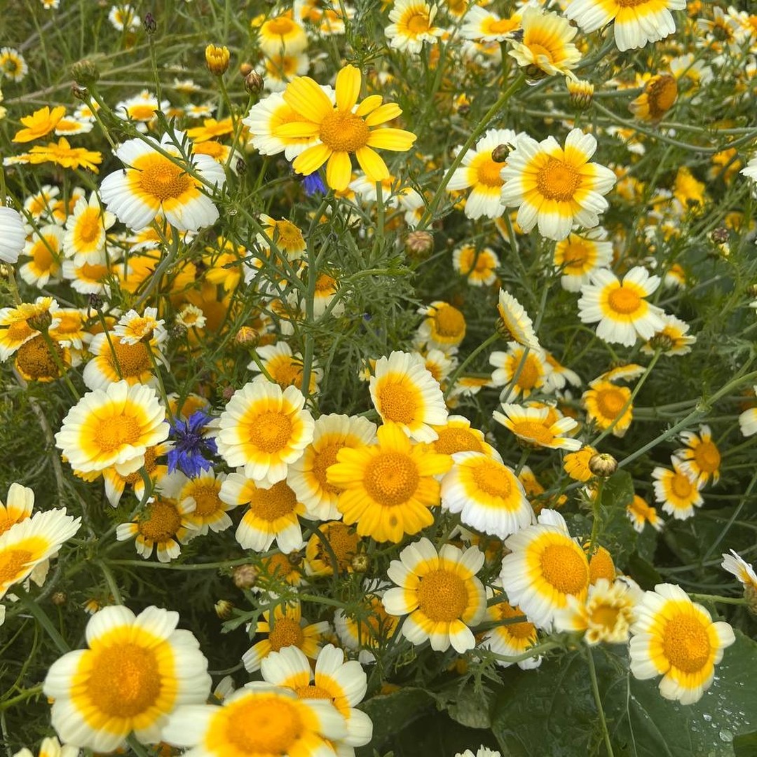 Freilandwerk – Galerie Bild 24