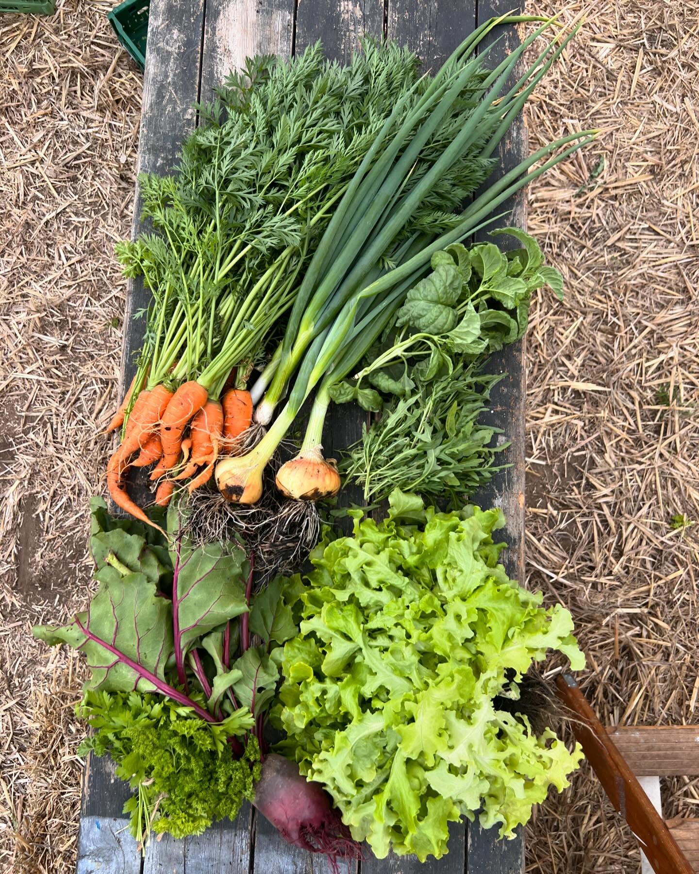 Freilandwerk – Galerie Bild 26