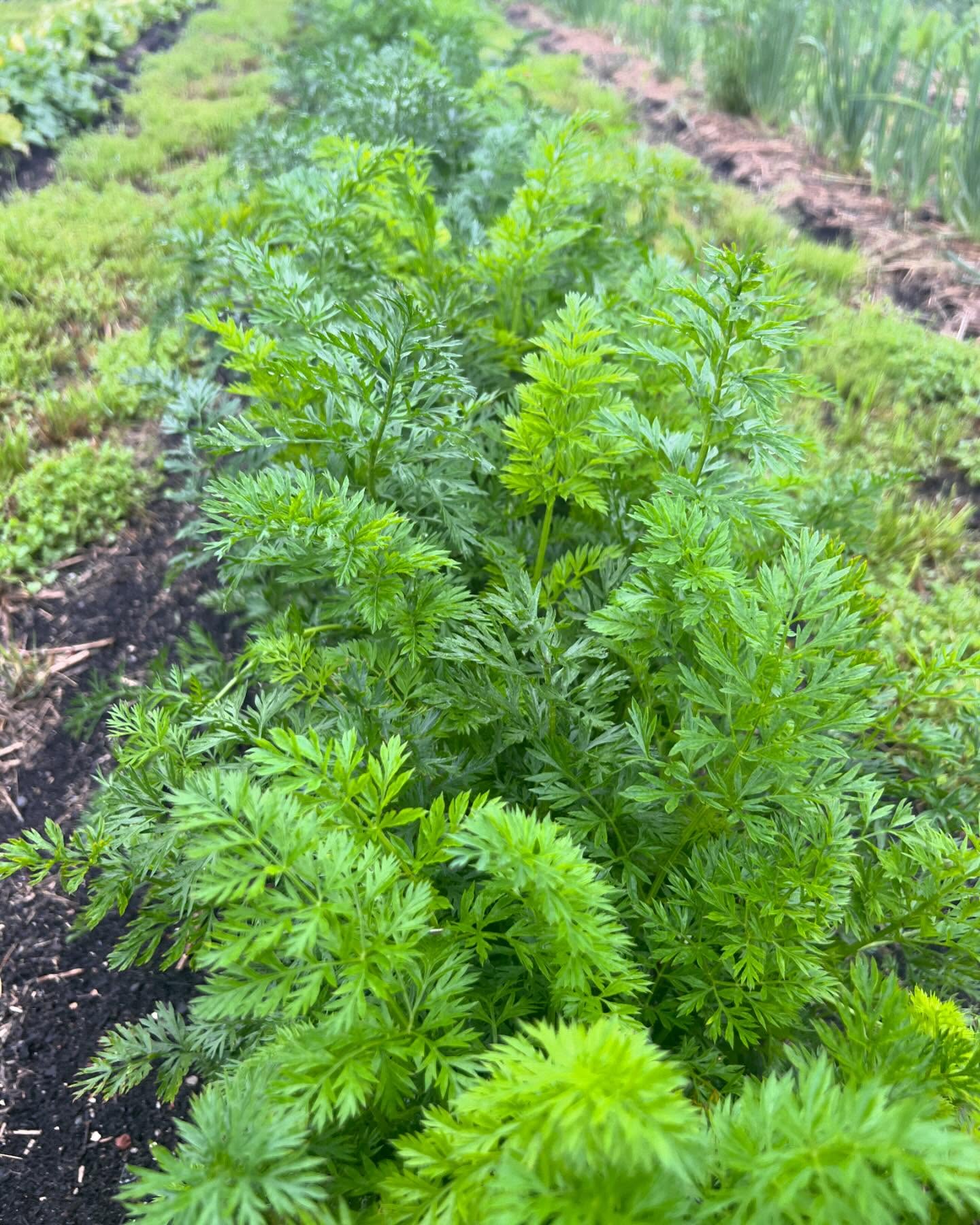 Freilandwerk – Galerie Bild 27