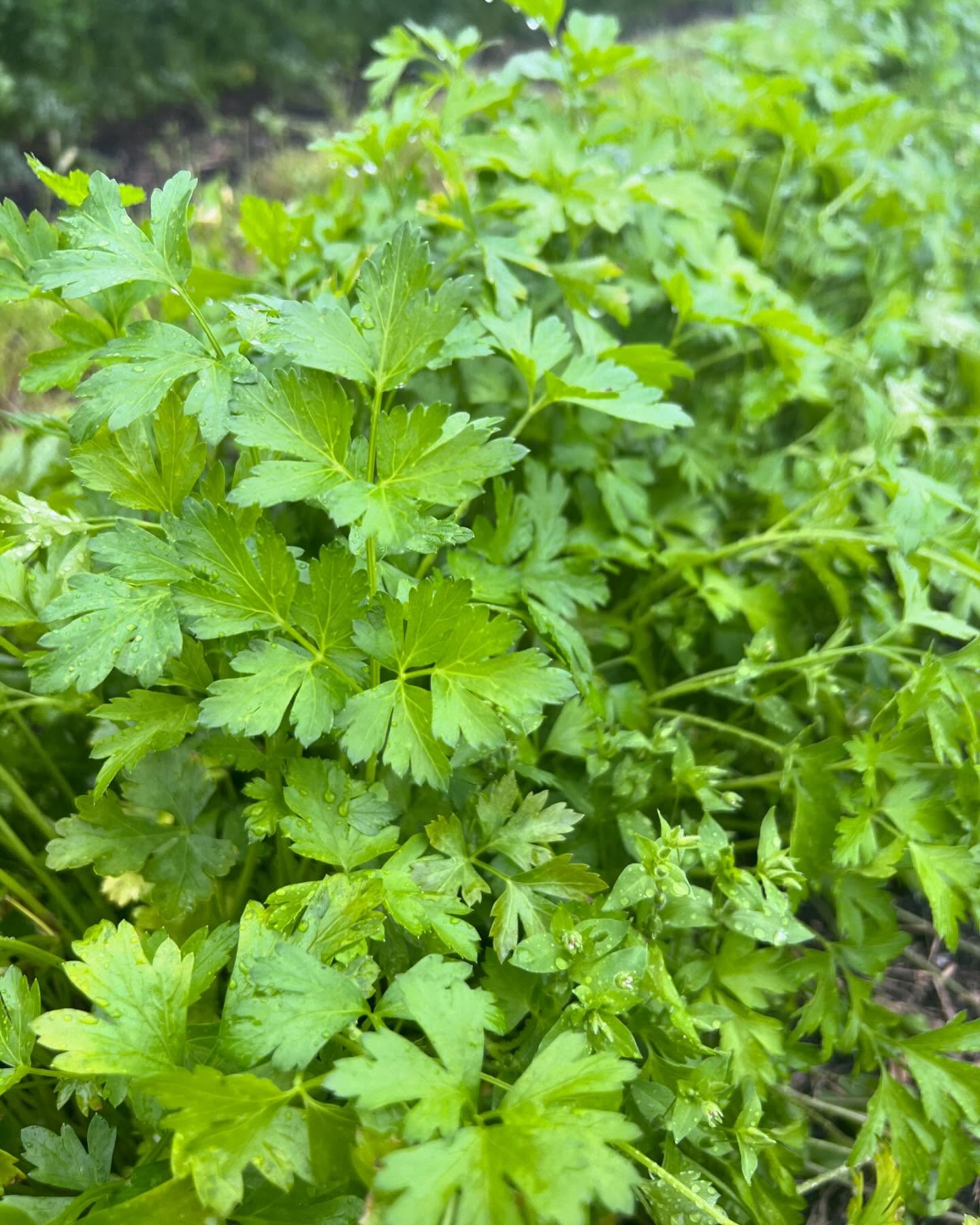 Freilandwerk – Galerie Bild 29