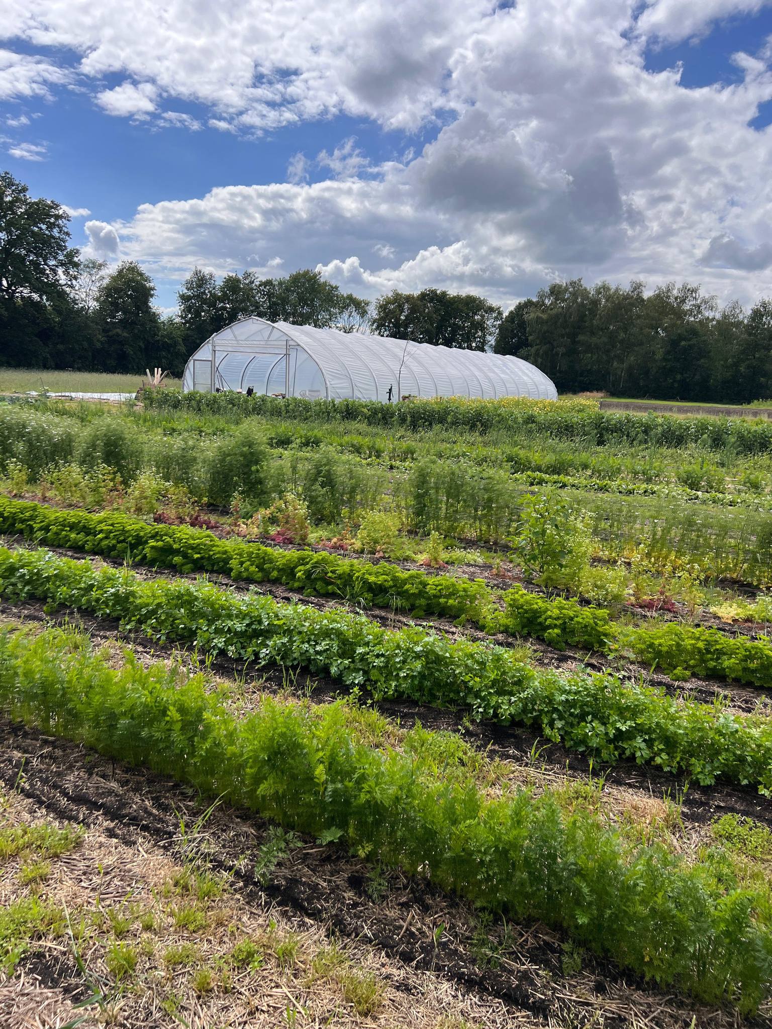 Freilandwerk – Galerie Bild 32