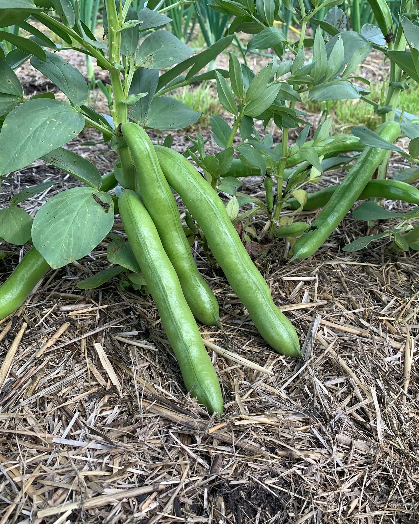 Freilandwerk – Galerie Bild 33