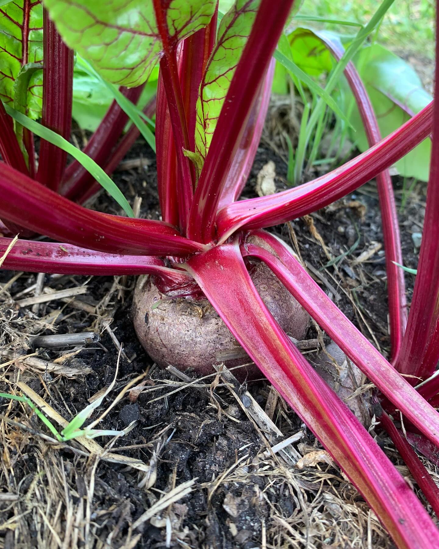 Freilandwerk – Galerie Bild 35