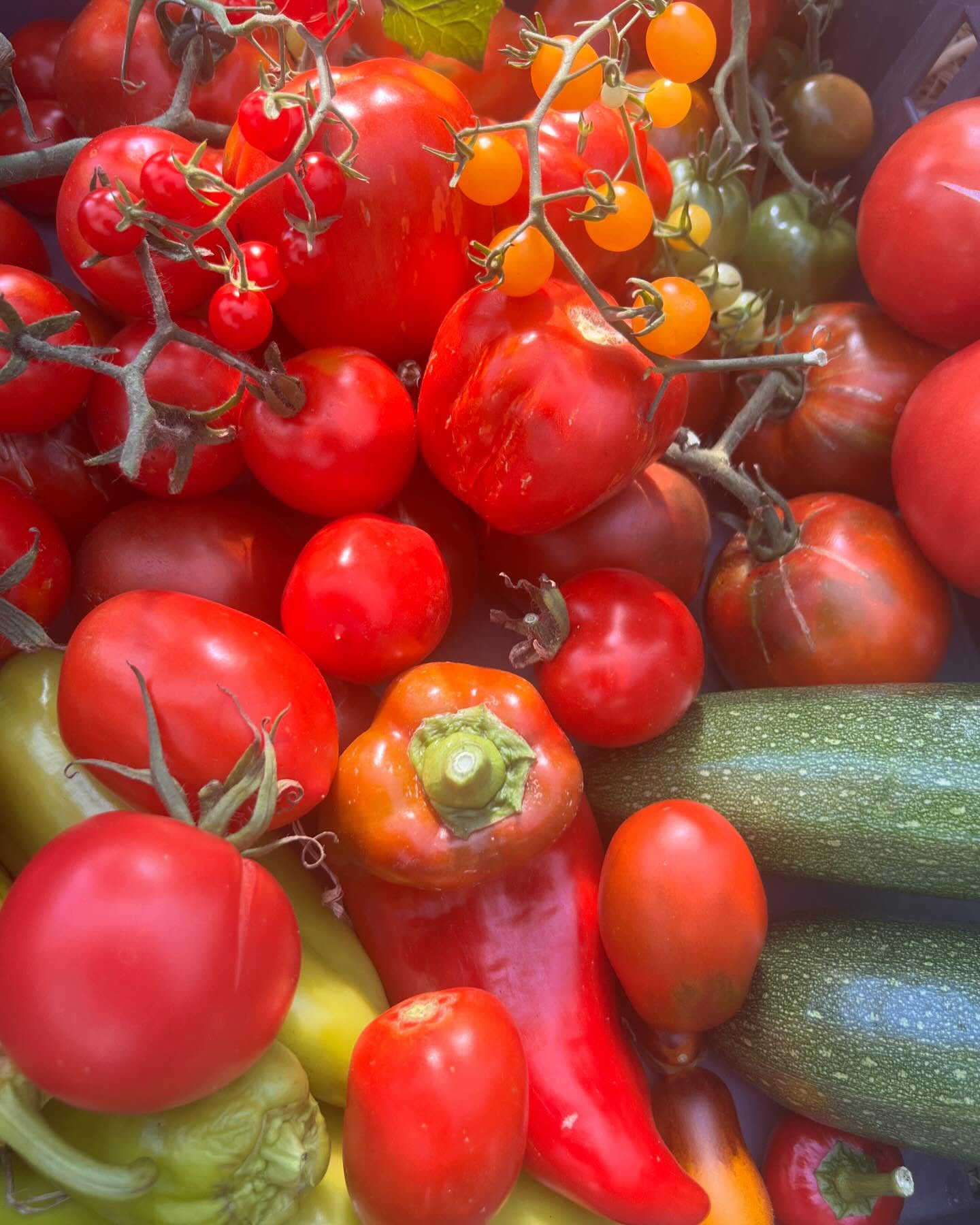 Freilandwerk – Galerie Bild 5