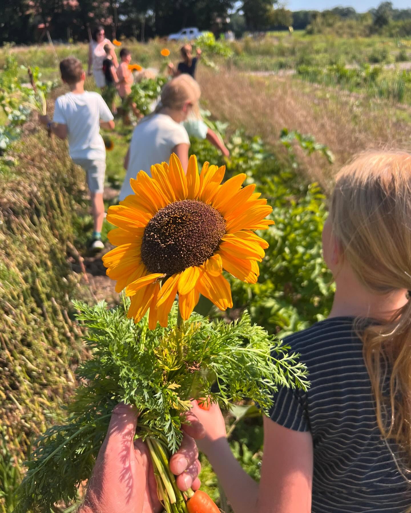 Freilandwerk – Galerie Bild 7